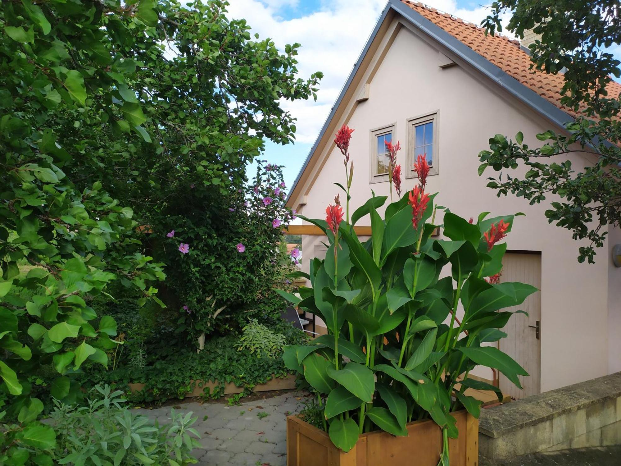 Ubytování u Křížů Bulhary Exterior foto