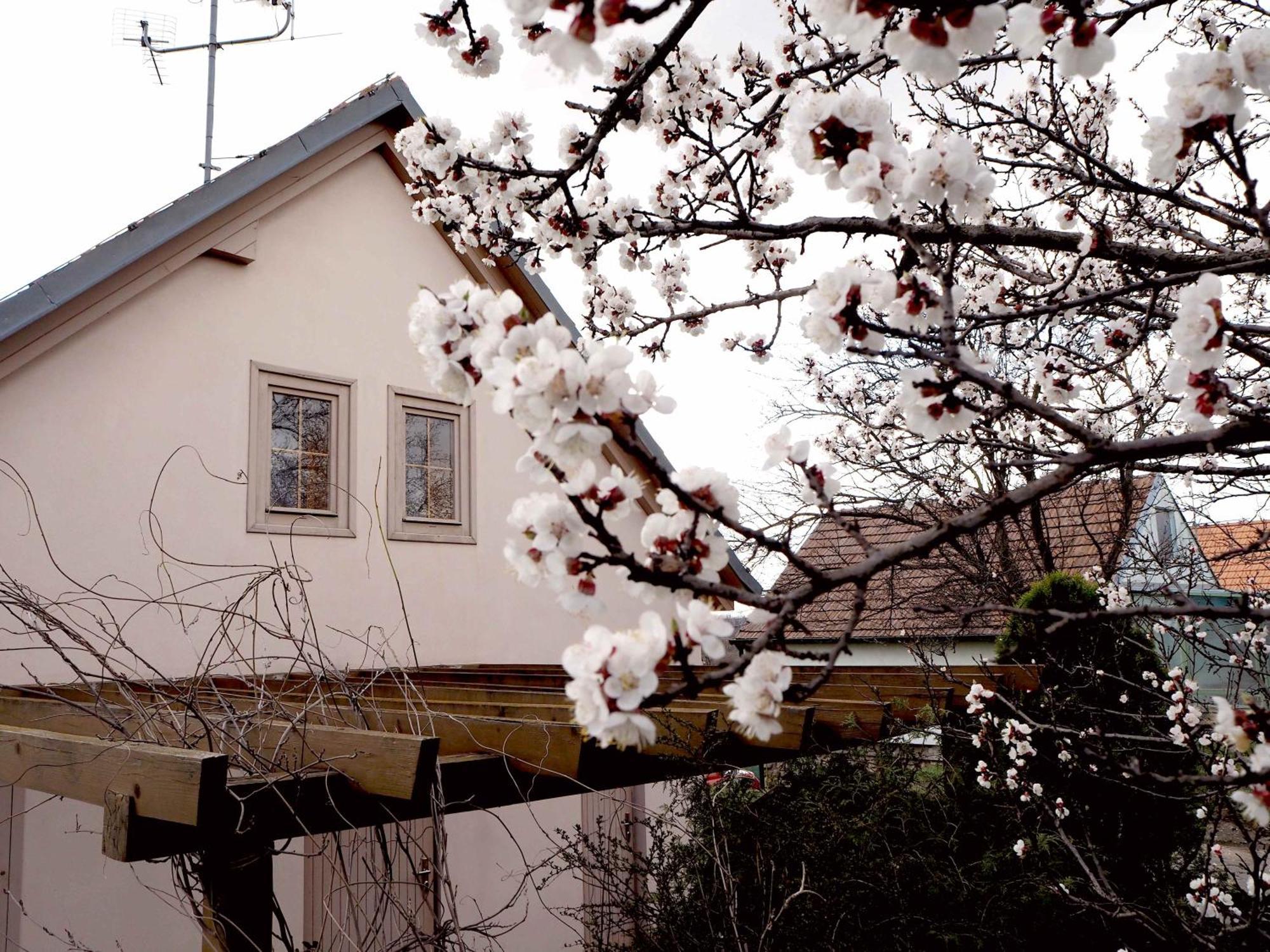 Ubytování u Křížů Bulhary Exterior foto